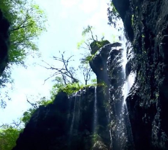 青山綠水，白龍江畔江畔息白鷺，兩岸綠橄欖入眼的都是純樸自然枝上花開，春來水暖魚蝦戲水，鳥語花香心中充滿著舒暢之感祥宇生態產業園，位于隴南市武..